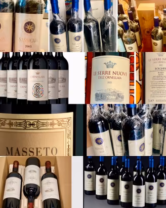 Vini Bolgheri