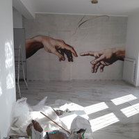 Imbianchino/Cartongessista