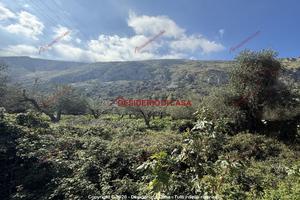 Terreno, Centro di Villagrazia, Carini.