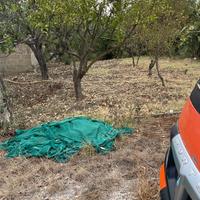 Terreno in contrada Mulini