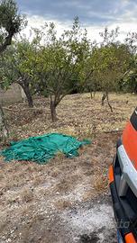 Terreno in contrada Mulini