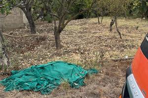 Terreno in contrada Mulini