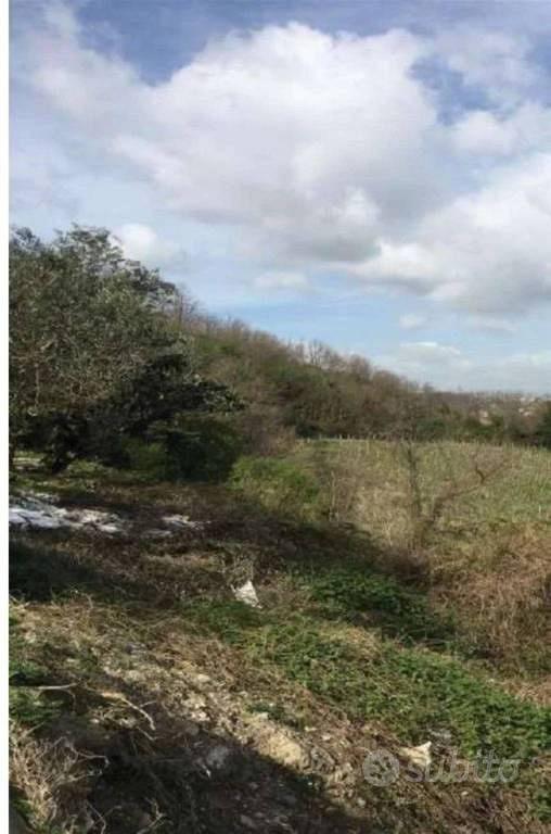 Immobile in asta di 22290 m² a Chianche - Vista 5
