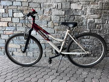 Mountain Bike 26