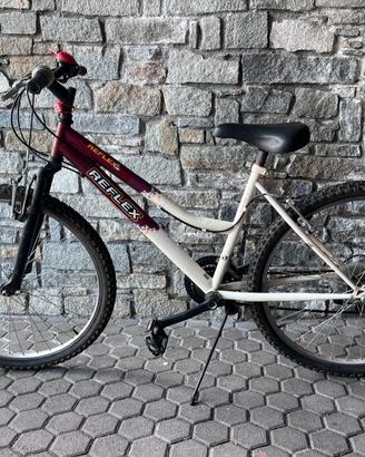 Mountain Bike 26