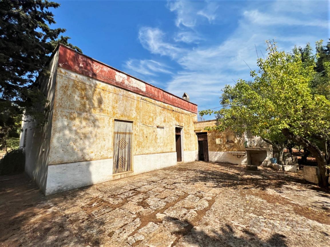 RUSTICO A CEGLIE MESSAPICA - Vista 2