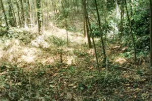 Terreno agricolo panoramico 2040 mq Cave (Rm)