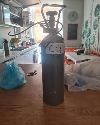 Impianto CO2 per acquario