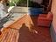 Immagine 24