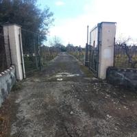 Villa SINGOLA 260 mq con 4.870 mq di Terreno