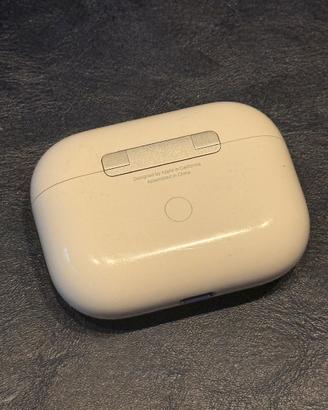 Custodia iPods pro 1