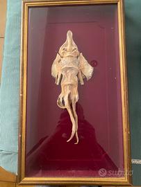 Jenny haniver-tassidermia-wunderkammer 30cm
