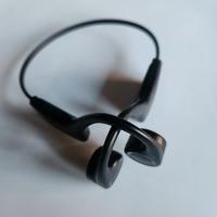 Auricolari bluetooth manuale in taliano