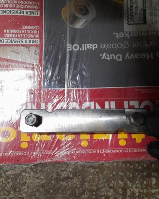 dima Fasatura testastretta ducati