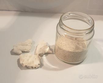 Sabbia e corallo Mauritius