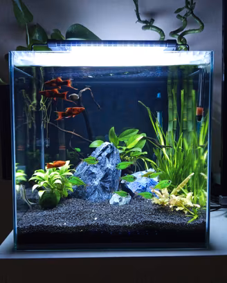 Acquario cubo 50 litri Newa