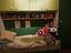 Immagine 4
