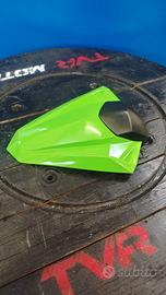 Monoposto Kawasaki Ninja 300