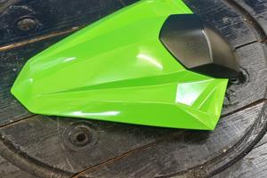 Monoposto Kawasaki Ninja 300