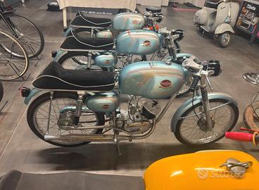 Mondial 48 ss 3v mondialino 50