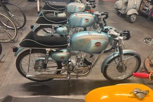 Mondial 48 ss 3v mondialino 50