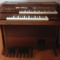 Piano Organo elettrico ECO Recanati