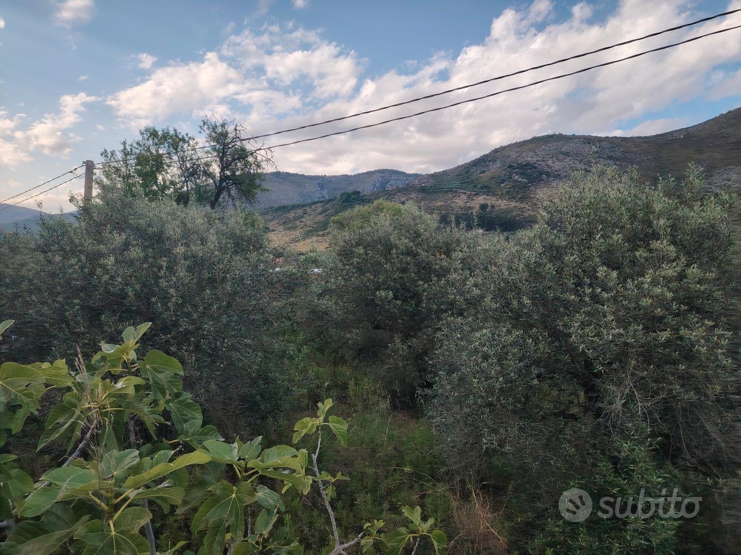 Terreno Agricolo - Altro