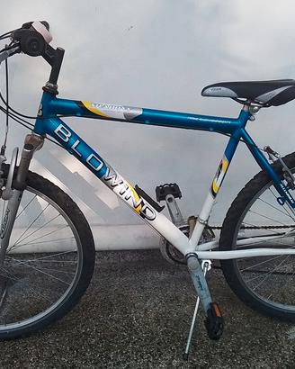Bici Blowind 