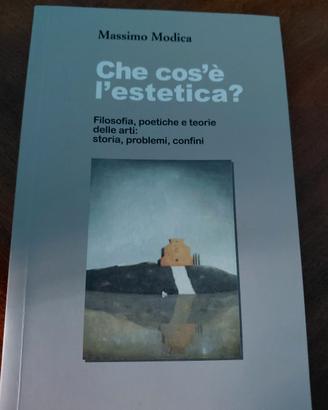Che cos'è l'estetica 