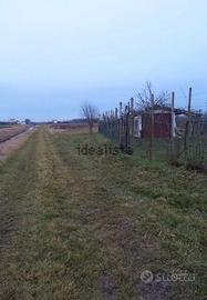 Vendita terreno agricolo