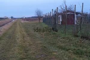 Vendita terreno agricolo