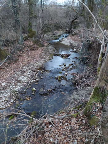 Terreno agricolo con ruscello