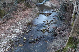 Terreno agricolo con ruscello
