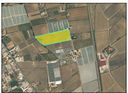 tribunale-di-salerno-rg-280-2024-terreno-in-asta
