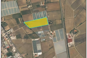 Tribunale di Salerno - RG 280/2024 Terreno in asta