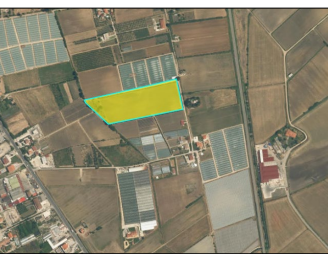 Tribunale di Salerno - RG 280/2024 Terreno in asta