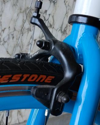 bicicletta uomo Speed scatto fisso 