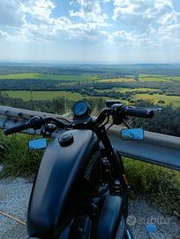 Harley Davidson 883 Iron