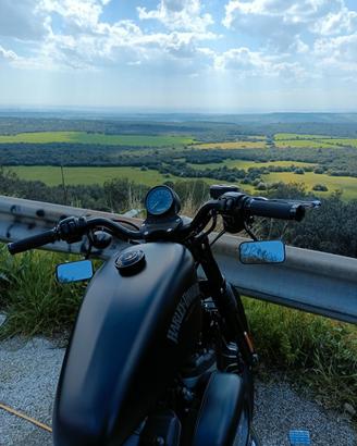 Harley Davidson 883 Iron