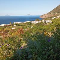 Terreno edificabile Malfa (Isole Eolie)