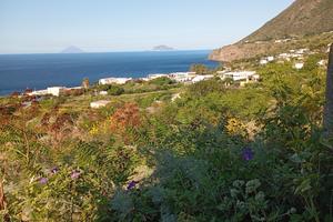 Terreno edificabile Malfa (Isole Eolie)