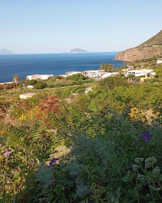 Terreno edificabile Malfa (Isole Eolie)