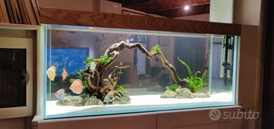 Acquario 240 L