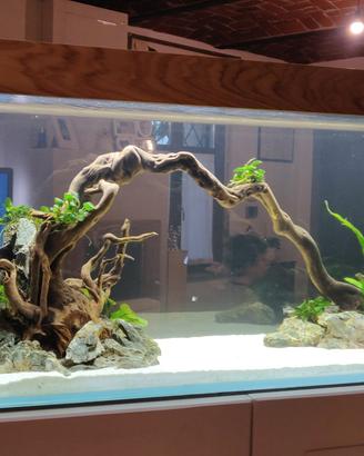 Acquario 240 L