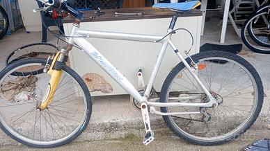 MTB 26 pollici