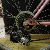 MOUNTAIN BIKE CARNIELLI