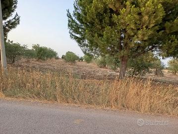 Terreno agricolo seminativo