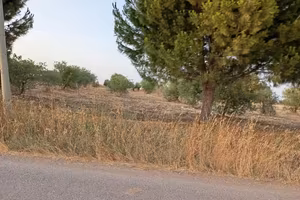 Terreno agricolo seminativo