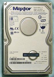 Hard Disk MAXTOR da 80 Giga  P_ATA- IDE 3,5"