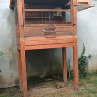 voliera per piccioni, pappagalli, merli o altro